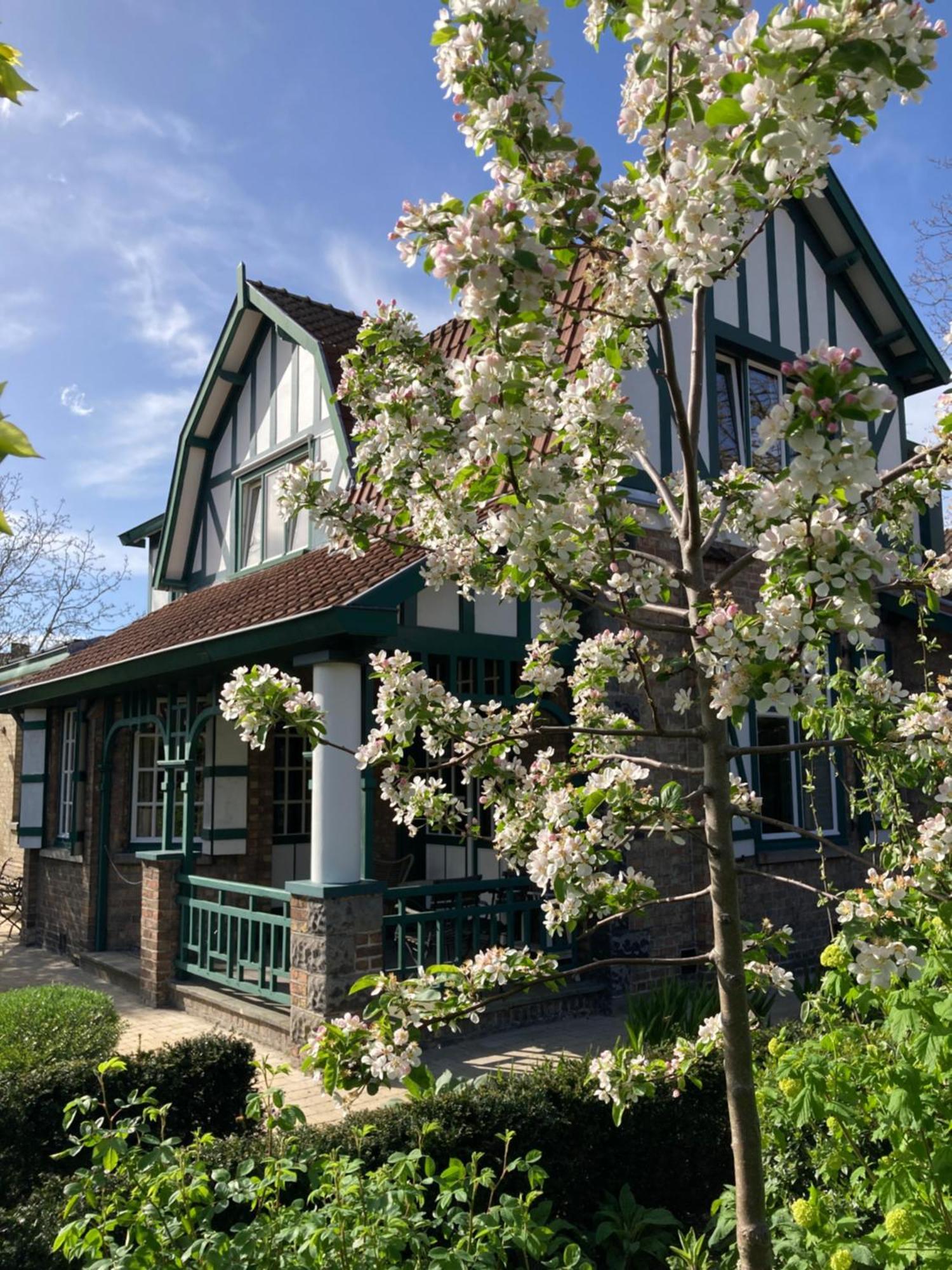 ブルージュ Tree & B Bed & Breakfast エクステリア 写真