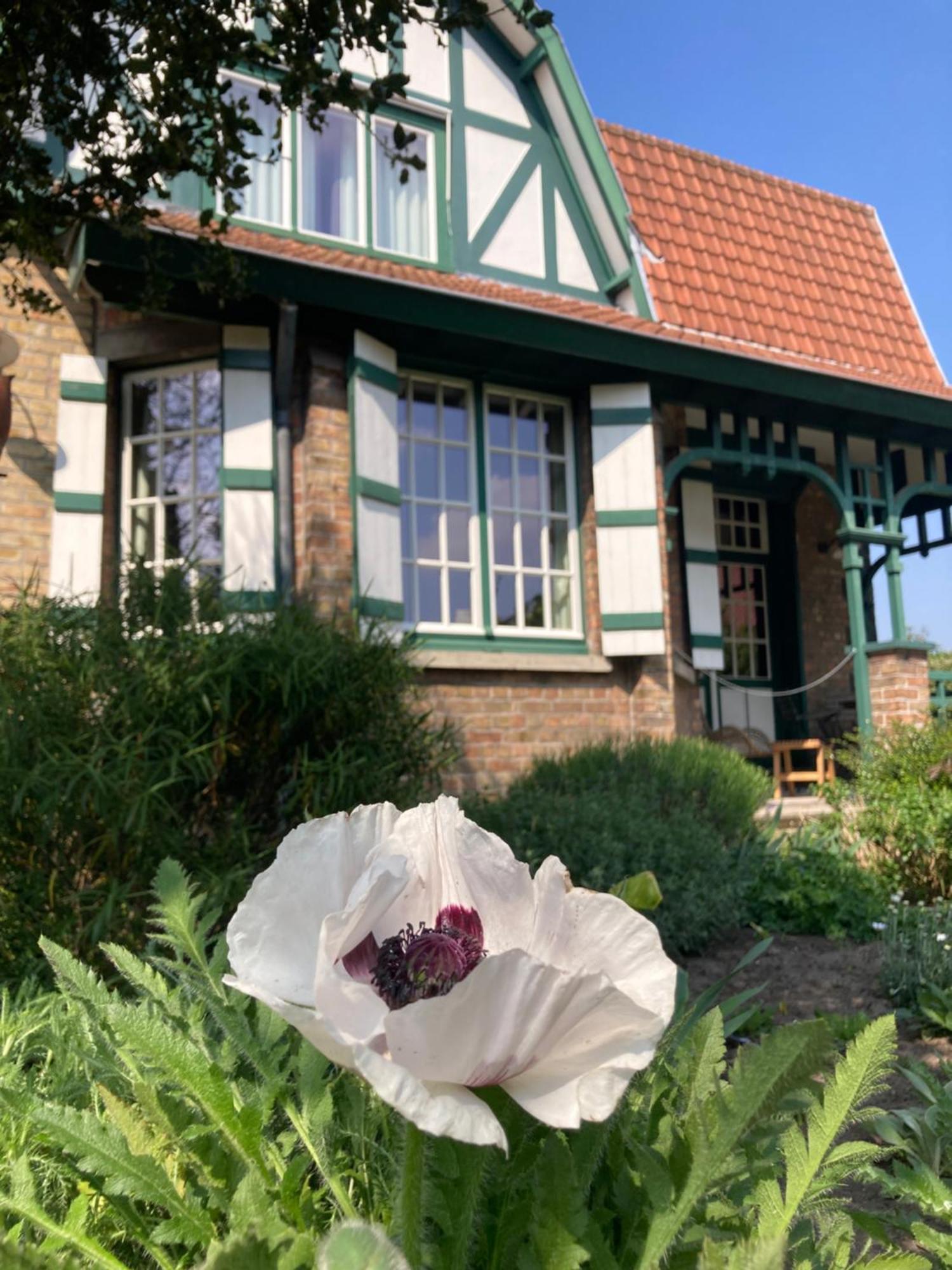 ブルージュ Tree & B Bed & Breakfast エクステリア 写真